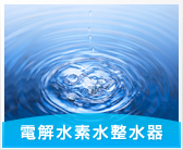 電解水素水整水器